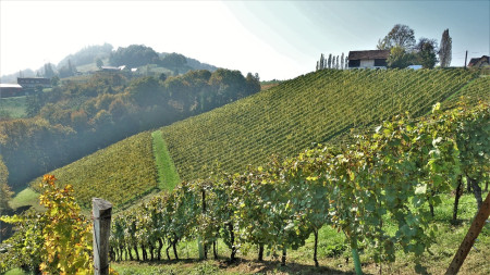 steirisches Weinland